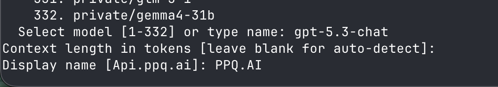 Display name set to PPQ.AI